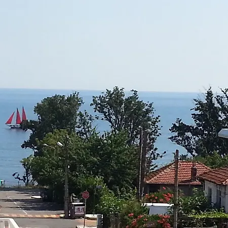 Diana Self Check-in Kiten