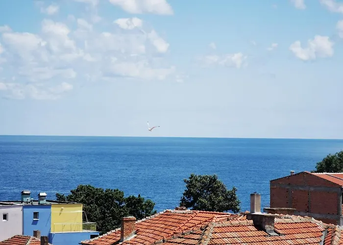 Diana Self Check-in Penzion 3*