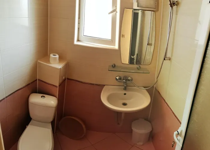 Diana Self Check-in キテン