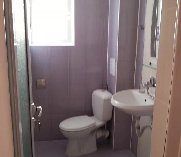 Diana Self Check-in キテン