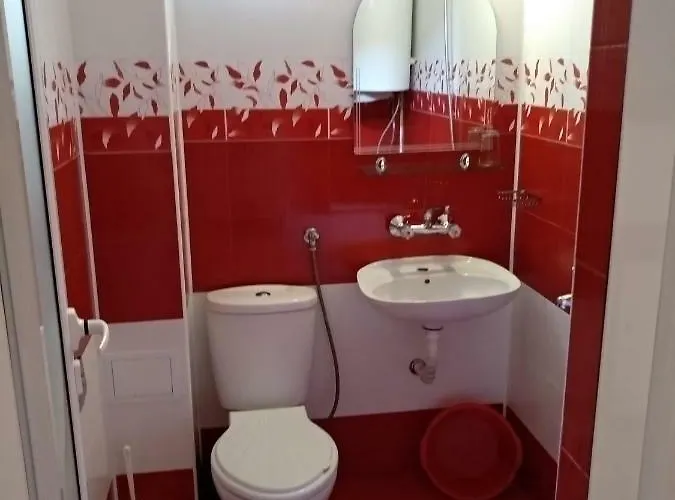 Diana Self Check-in キテン